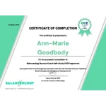 Burnout Coaching certificate