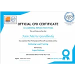 Wellbeing Lead Training Certificate